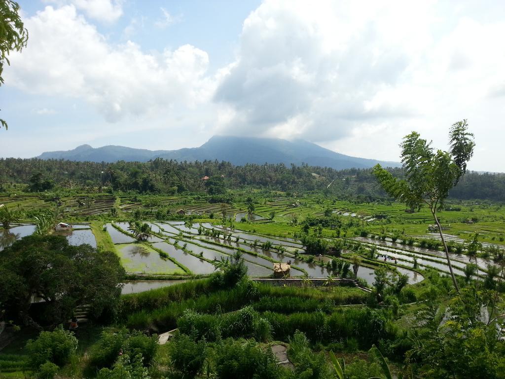 Tudes Homestay อาเม็ด ภายนอก รูปภาพ